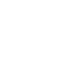 injection icon